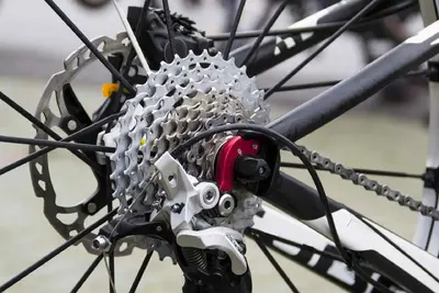 Bike Sprocket